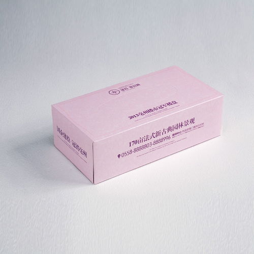 自贡纸制品销售的现状与未来 传统与创新的交汇
